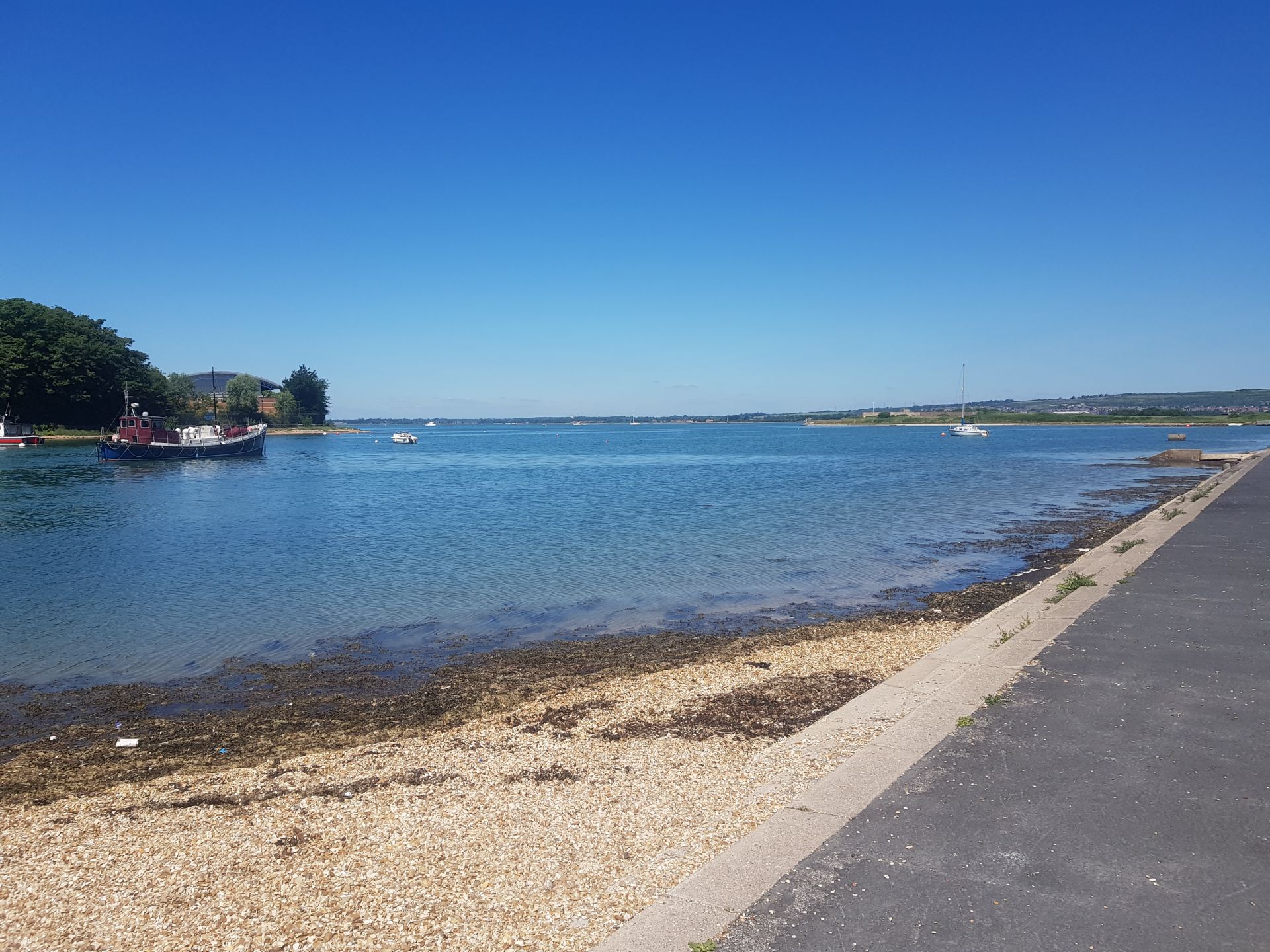 Picture of the shoreline